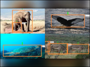 امیج اومکس تصویروں میں پوشیدہ معلومات ڈھونڈنے کی نئی سائنس