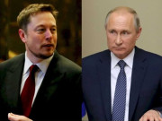 ایلون مسک نے پوٹن کو دو بدو لڑائی کا چیلنج دے دیا