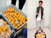 کینو میں 2 کلو آئس چھپا کر سعودی عرب اسمگل کرنے کی کوشش کرنے والا گرفتار