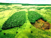 دنیا کے پانچ بڑے ماحولیاتی مسائل اور اْن کے ممکنہ حل