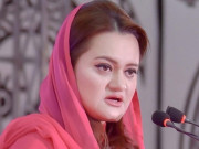 تحریک عدم اعتماد مسلم لیگ ن کی اتحادیوں سے تعلقات خراب ہونے کی تردید