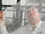 مچھروں کو مفلوج کرنے والی جالی سے ملیریا میں نمایاں کمی