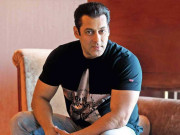 مسلم مخالف فلم ’کشمیر فائلز‘ پر سلمان خان کی مبارک باد