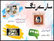 سارے رنگ