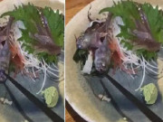  کھانے کے لئے پیش کی گئی مچھلی زندہ ہوگئیویڈیو وائرل