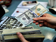 رواں ہفتے ڈالر کی قیمت کیا رہی