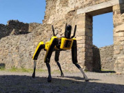 2 ہزار سال قدیم تباہ شدہ شہر کی نگرانی کے لیے روبوٹ کتا تعینات