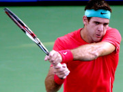 دبئی اوپن ٹینس ڈیل پوٹرو کلائی کی انجری کے باعث باہر