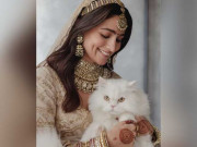 عالیہ بھٹ کی شادی میں بلی کی بھی شرکت اداکارہ نے تصویر شیئر کردی
