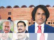 پاکستان کرکٹ کو سیاسی اثرسے نکالنے کی ضرورت