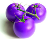 جامنی ٹماٹر