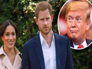 شہزادہ ہیری اور میگھن کی شادی جلد ختم ہوجائے گی ٹرمپ