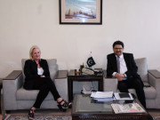 وزیرخزانہ کی امریکی ناظم الامور اور برطانوی ہائی کمشنر سے ملاقاتیں