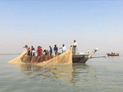 پنجاب کے دریاؤں میں 10 سال کیلیے مچھلی پکڑنے پرپابندی