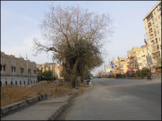 شہر قائد کے تعمیراتی منصوبے اور درختوں کا قتلِ عام