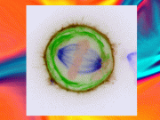 سرطانی خلیے کو چیر کر کینسر کو سمجھنے میں پیشرفت