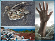 پلاسٹک کرہ ارض کے کئے خطرہ