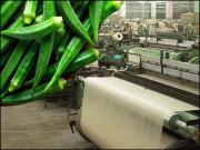 بھنڈی سے کپڑوں کی تیاری