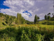 وزیرستان کلاشنکوف کلچر ختم ہوچکا ہے
