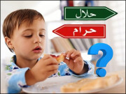 حلال فوڈ ایکسپورٹ میں پاکستان پیچھے کیوں ہے  ویڈیو بلاگ