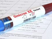 برطانیہ میں اومیکرون ویریئنٹ کی نئی ذیلی قسم سامنے آگئی