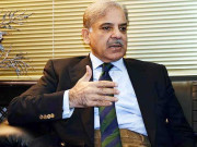 وزیراعظم کا جنگلات میں لگی آگ پر کنٹرول کیلئے وفاقی وصوبائی اداروں کو فوری اقدامات کا حکم