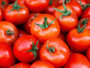 جینیاتی تبدیلی کے بعد وٹامن ڈی سے مالامال ٹماٹر تیار