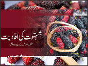 شہتوت کی افادیت