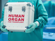 پہلی مرتبہ انسانی جگر مشین میں درست کرکے مریض میں منتقل کردیا گیا