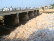 دریائے چناب میں نہاتے ہوئے8سالہ بچے سمیت تین افراد ڈوب گئے