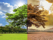 ماحولیاتی تبدیلی سے جنوبی ایشیا کے 80 کروڑ افراد متاثر ہوسکتے ہیں رپورٹ