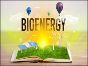 بائیو انرجی توانائی کا بہتر متبادل ذریعہ