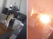 پالتو کتے کی غلطی سے گھر میں آگ لگنے کی ویڈیو وائرل