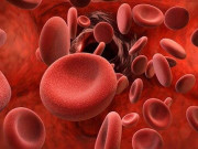 خون کی کمی وجوہات علامات اور علاج