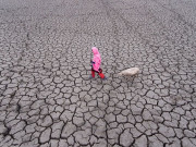 2050 تک خشک سالی سے دنیا کی 75 فیصد آبادی متاثر ہوسکتی ہے رپورٹ