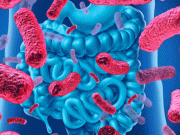 معدے کے ’مفید‘ بیکٹیریا ڈپریشن کم کرسکتے ہیں