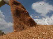 روس یوکرین جنگ غذائی عدم استحکام کا باعث ہے اقوام متحدہ