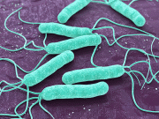 ڈاؤ یونیورسٹی نے سانس کے ذریعے کم خرچ ایچ پائیلوری ٹیسٹ پیش کر دیا