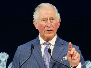 شہزادہ چارلس کو ڈالرز سے بھرا بریف کیس تحفتاً لینے پر تنقید کا سامنا