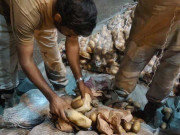 آلو کی بوریوں میں 315 کلو چرس دبئی بھیجنے کی کوشش ناکام