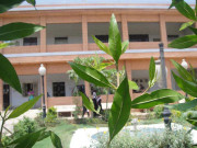 جامعات اور اداروں میں تلاش کمیٹی کے بغیر سربراہوں کا تقرر 