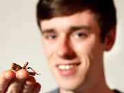 تندرست رہنے کے لیے مکوڑے کھانے کا شوقین طالبعلم