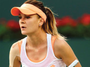 انڈین ویلز ٹینس ٹوماسن بریڈ یچ اور سونگا کا قصہ تمام ہو گیا