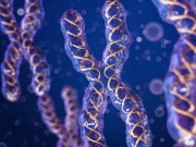 متاثرہ ایکس کروموسوم مردانہ بانجھ پن کی وجہ قرار