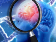 روغنی غذائیں دماغ کے لیے نقصان دہ قرار