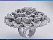 انگوٹھی پر 24 ہزار سے زائد ہیرے لگانے کا عالمی ریکارڈ قائم