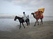 سی ویو پر اونٹ اور گھڑ سواری پر پابندی کیخلاف درخواست دائر