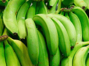 نشاستہ کئی اقسام کے سرطان سے بچاسکتا ہے