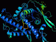 مصنوعی ذہانت کی بدولت 20 کروڑ پروٹین کی ساخت معلوم کرنا ممکن