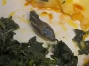 فضائی مسافر کے کھانے میں سانپ کا کٹا ہوا سر برآمد ویڈیو وائرل